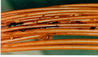 wire degradation analysis